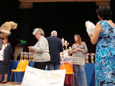 20121021_206 (Expo)